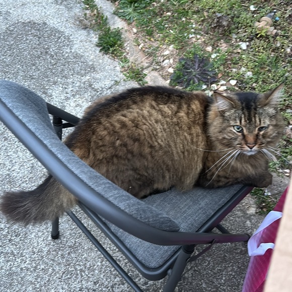 FARMASI SHADER BRUSH 04 - Picture 10 of 11